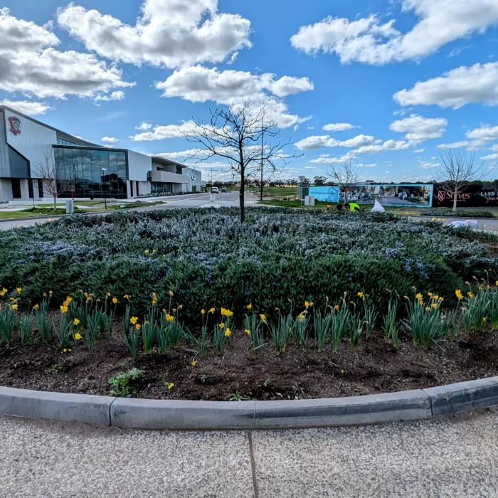 commercial landscaping