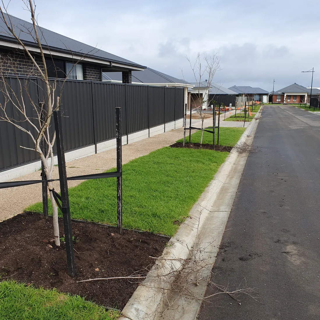 formative pruning