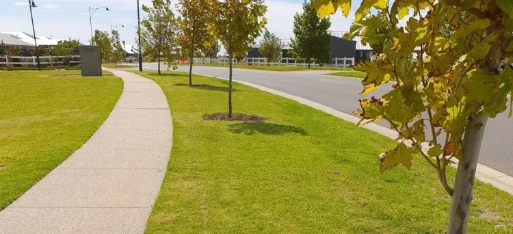 Commercial Landscape Maintenance