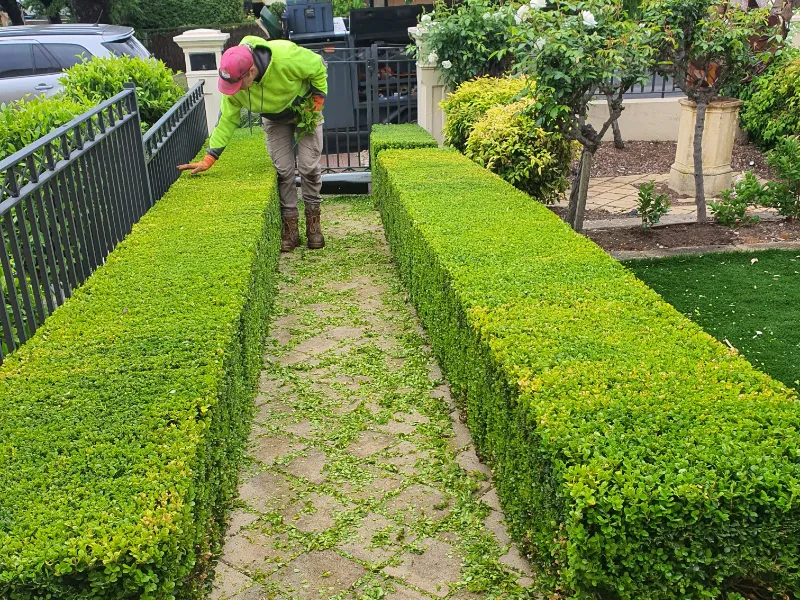 landscape maintenance