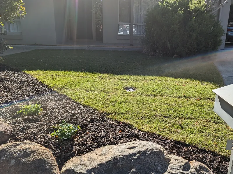 turf installation