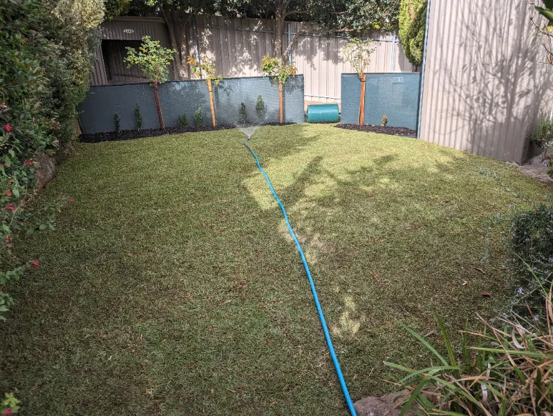 turf installation